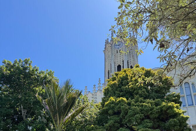 Auckland Walking Tour: Small-Group History & Culture Experience - Who Should Consider This Tour?