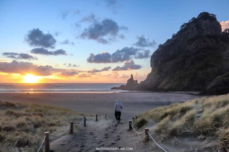 Auckland: West Coast Discovery - An In-Depth Look at the Experience