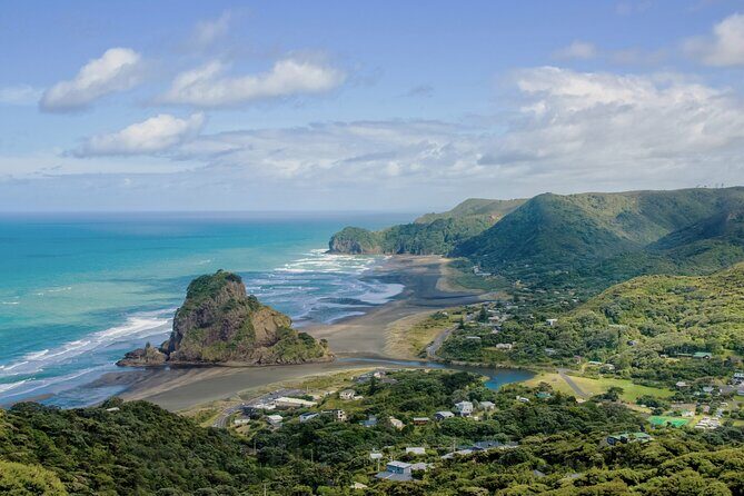 Auckland West Coast Half-Day Private Tour - Key Points