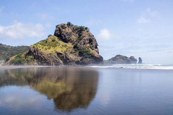 Auckland West Coast Half-Day Private Tour - Analyzing the Value