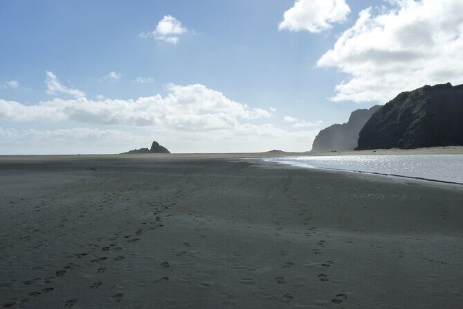 Auckland West Coast Rainforest and Beach Tour - Piha Beach & Lion Rock – Surf Culture and Volcanic Majesty