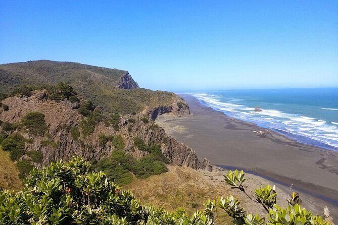 Auckland West Coast Rainforest and Beach Tour - What Makes It Stand Out?