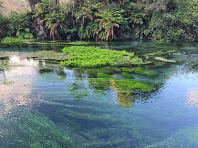 Auckland: Whakarewarewa Village & Wai-o-Tapu & Huka Falls - FAQ