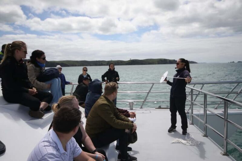 Auckland: Whale and Dolphin Watching Half-Day Eco Cruise - Key Points