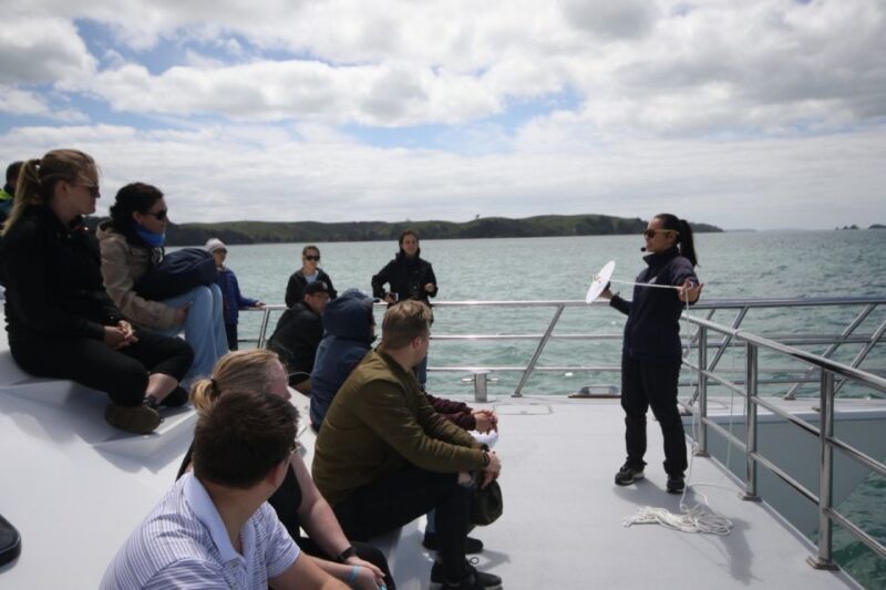 Auckland: Whale and Dolphin Watching Half-Day Eco Cruise - FAQs