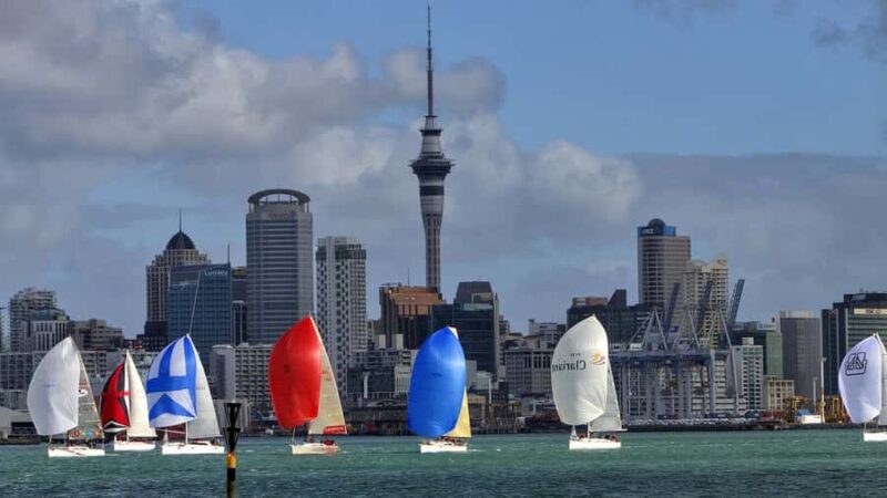 Auckland: Wild West Coast, Black Sand Beaches Tour inc Lunch - Analyzing the Value