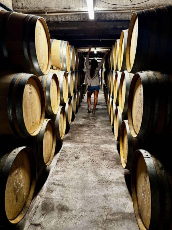 Auckland: Wine region tour with tastings and gourmet lunch - Visiting Four Unique Vineyards