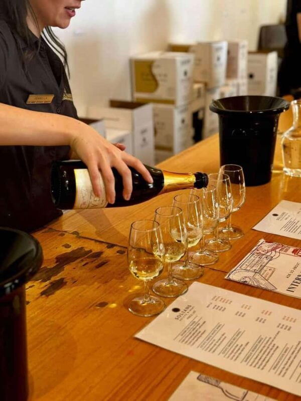 Auckland: Wine region tour with tastings and gourmet lunch - Scenery and Atmosphere