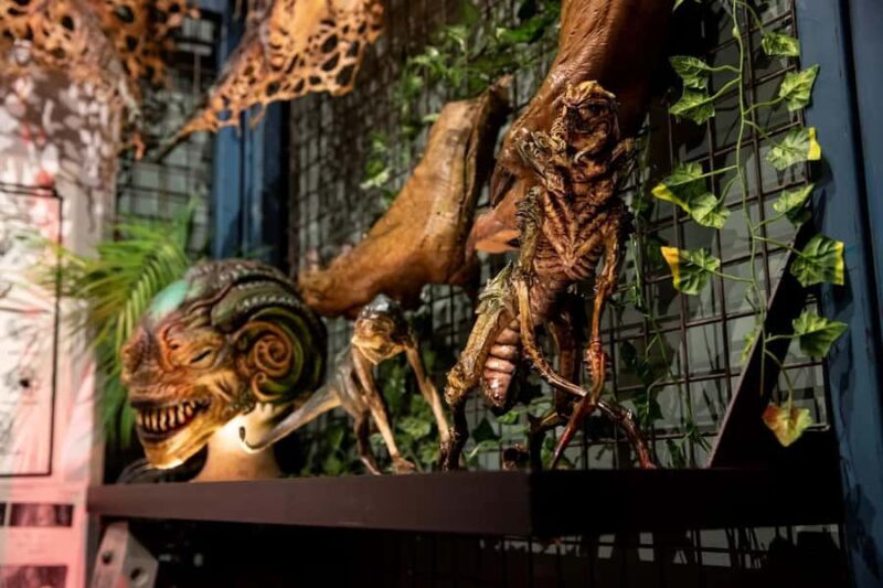 Auckland: Wt Workshop Unleashed Guided Tour Ticket - The Sum Up