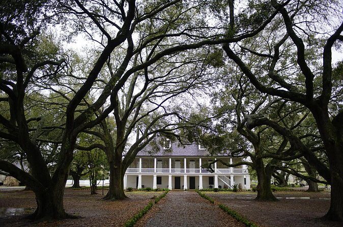 Audio-Guided Whitney Plantation Tour with Transportation - Who Should Consider This Tour?