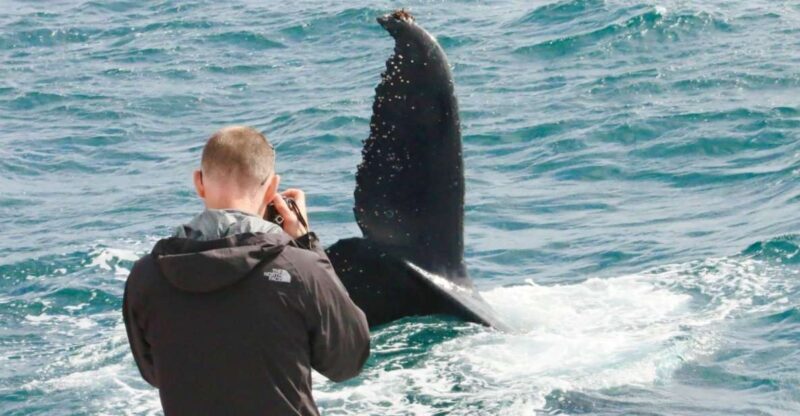 Augusta: Whale Watching Tour - Who Should Consider This Tour?