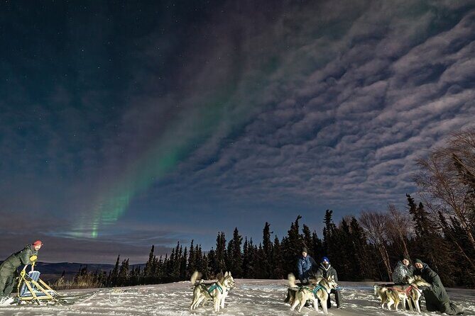 Aurora Activity at Sluice Box Sled Dogs - An In-Depth Look at the Tour Experience
