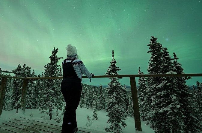 Aurora Oval Nightly Northern Lights Chase - What Travelers Say