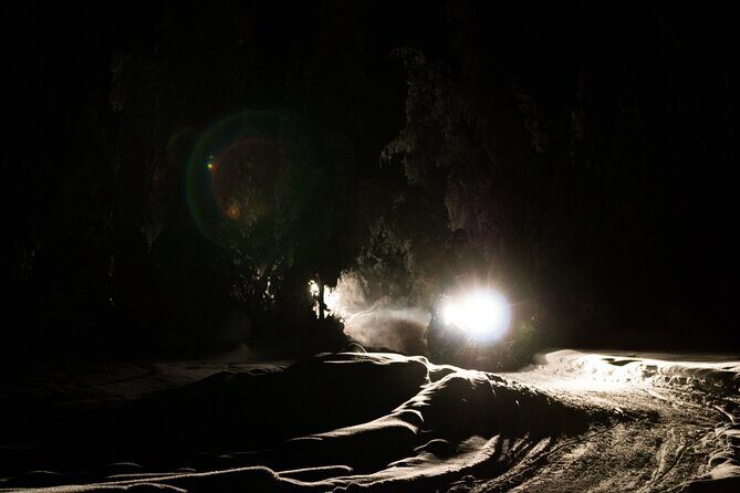 Aurora Sleighers Snowmobile Tour in Fairbanks - The Sum Up