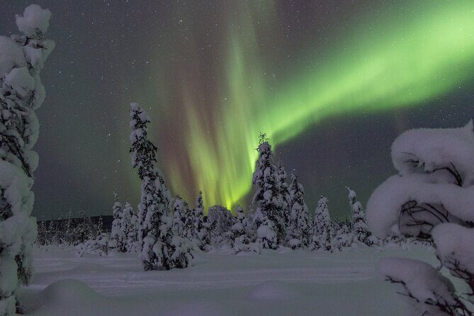 Aurora Sleighers Snowmobile Tour in Fairbanks - FAQs