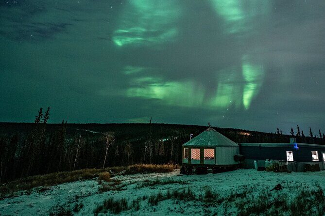 Aurora Viewing and Dinner - An In-Depth Look at the Aurora Viewing and Dinner Tour