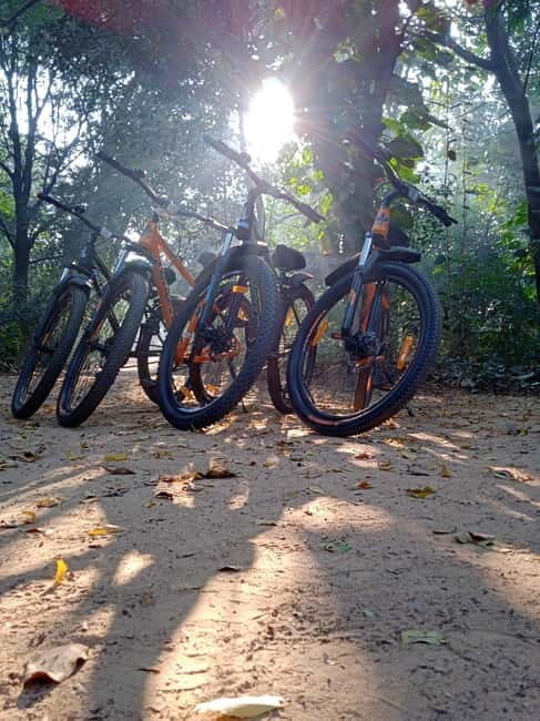 Auroville: Nature Trail Forest Cycling Adventure - What Is the Auroville Forest Cycling Adventure?