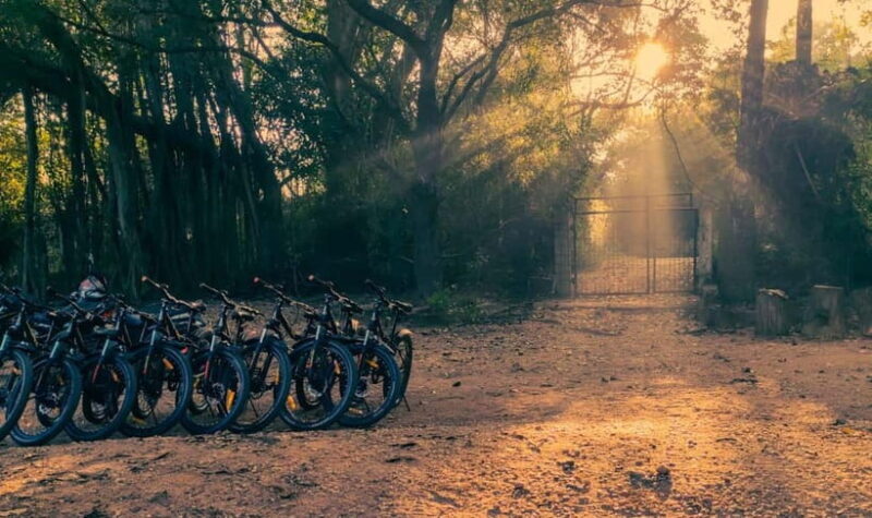 Auroville: Nature Trail Forest Cycling Adventure - The Value of the Experience