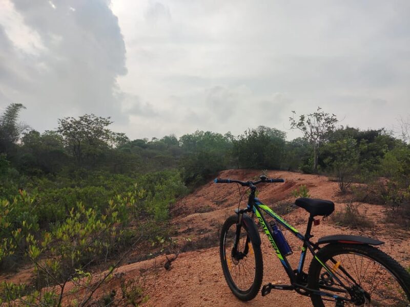 Auroville: Nature Trail Forest Cycling Adventure - FAQs