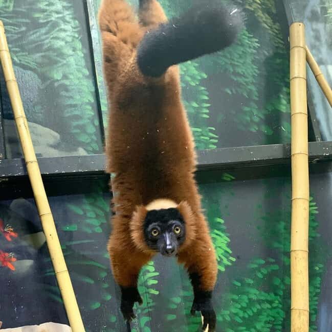 Austin Aquarium Entry Ticket - An In-Depth Look at What the Austin Aquarium Offers