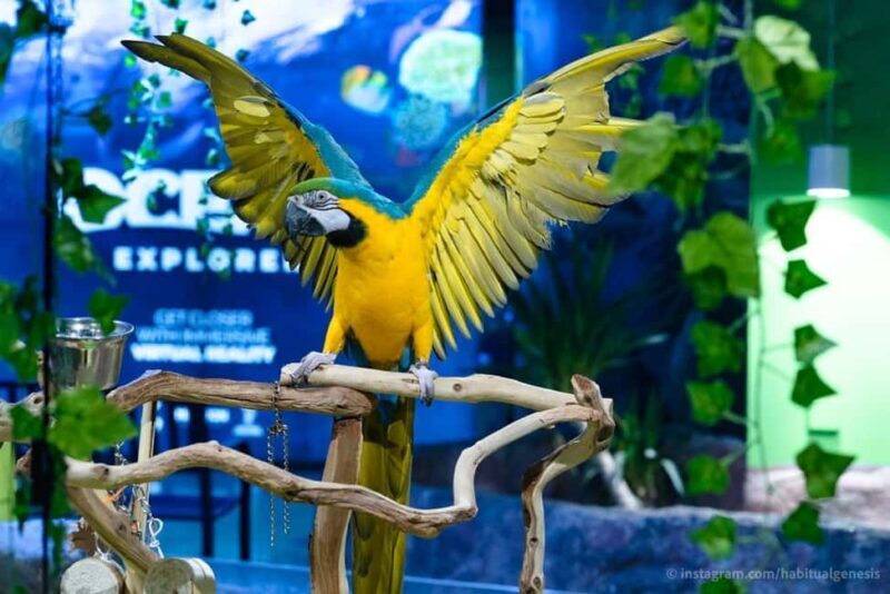 Austin Aquarium Entry Ticket - The Final Word: Is It Worth Your Time?