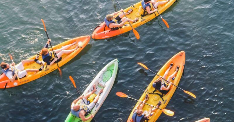 Austin: Single or Double Kayak Rental - The Experience: What to Expect During Your Kayak Adventure
