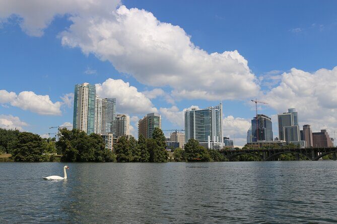 Austin Skyline Kayak Tour - Practical Tips