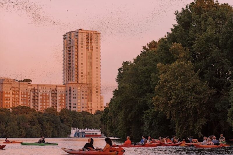 Austin: Sunset Bat Watching Kayak Tour - Value and Practical Considerations