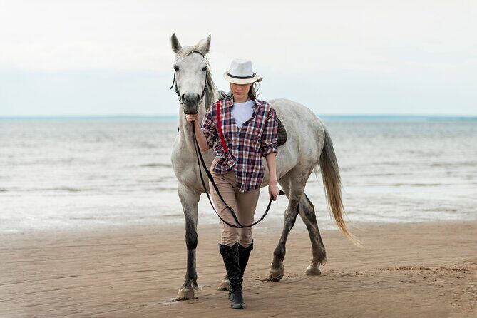 Australia: Coffs Harbour Beach Horse Ride & Lagoon Swim + Photos - Key Points