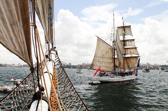 Australia Day Tall Ships Dinner & Fireworks on Sydney Harbour - Who Should Consider This?