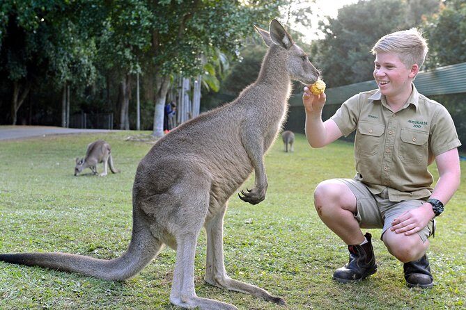 Australia Zoo Day Trip from Brisbane - Key Points