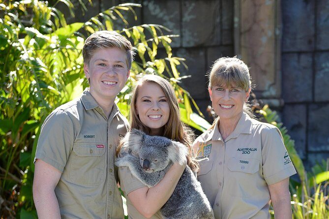 Australia Zoo Day Trip from Brisbane - What to Expect from the Tour