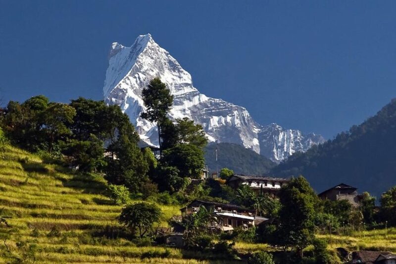 Australian Base Camp Day Hike From Pokhara - The Experience of the Australian Camp Day Hike