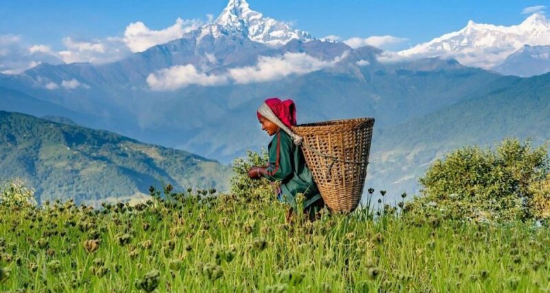 Australian Base Camp Hike For Sunrise over the Himalayas - Practical Tips for This Adventure