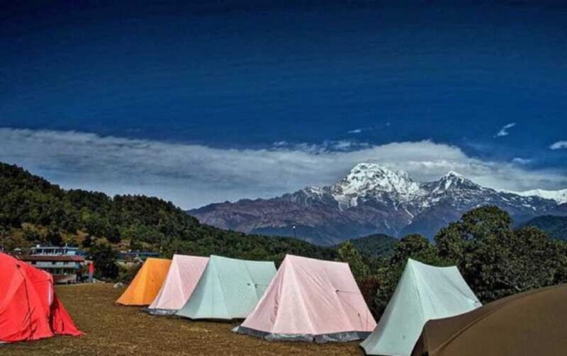 Australian Base Camp Hike For Sunrise over the Himalayas - Authentic Experiences and Traveler Feedback