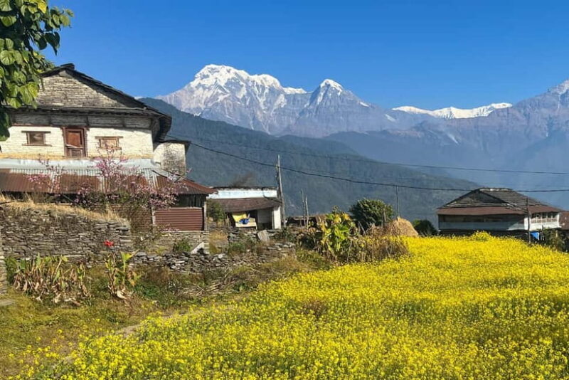 Australian Camp & Dhampus: 2-Day Private Trekking Tour - Day 1: From Pokhara to Australian Camp and Dhampus