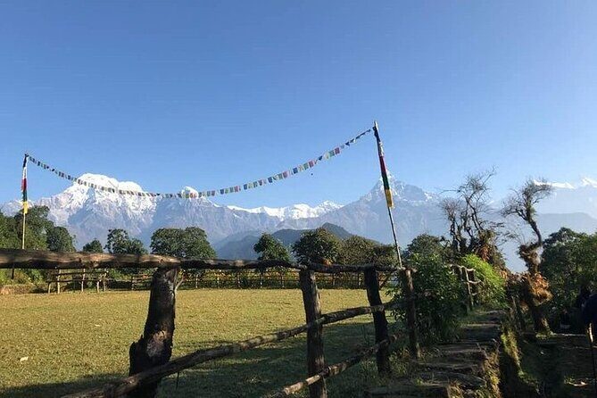 Australian Camp Trek - A beautiful short day hike from Pokhara - A Scenic Snapshot of Himalayan Majesty
