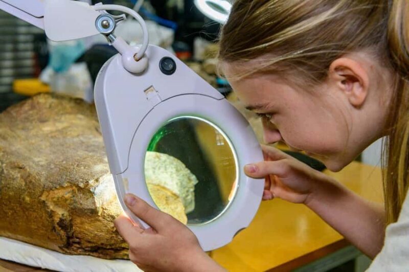 Australian Dinosaur Giants Tour - A Detailed Look at the Tour Experience