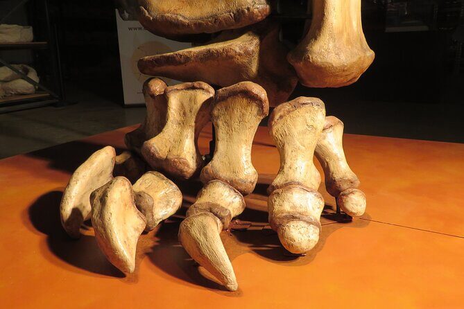 Australian Dinosaur Giants Tour - The Value Proposition