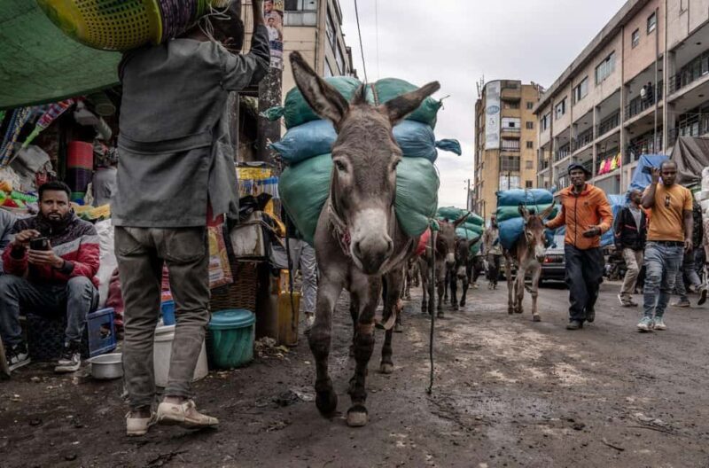 Authentic Addis Ababa City Tour with a Local Guide - Why Choose This Tour?