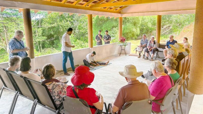 Authentic Cinnamon Tour with Cinnamon Tea Tasting Experience - Overall Value and Who Will Love This