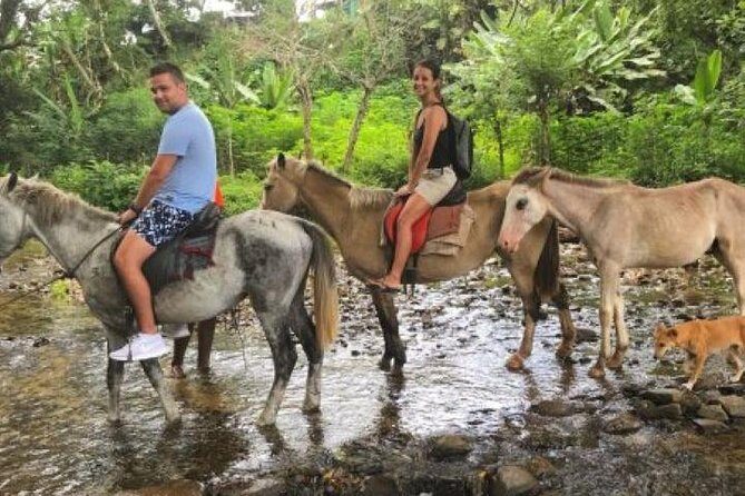 Authentic Fijian Day Tour - The Practicalities: Whats Included and Whats Not