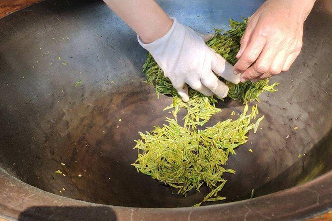 Authentic Hangzhou Longjing Tea Culture Experience Tour - Key Points