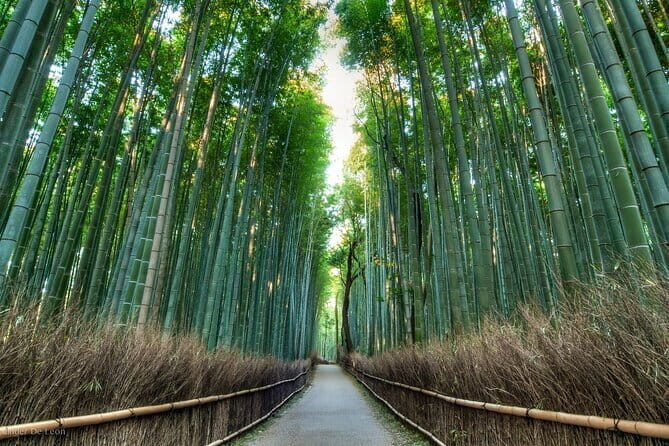 Authentic Kyoto Gion Tour with Traditional Cuisine and Maiko Show - Who Will Love This Tour?