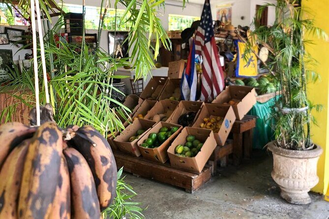 Authentic Little Havana Food and Culture Walking Tour - Who Should Consider This Tour?