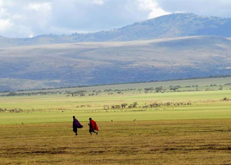 Authentic Maasai village & Cultural tour - What Makes This Tour Stand Out?