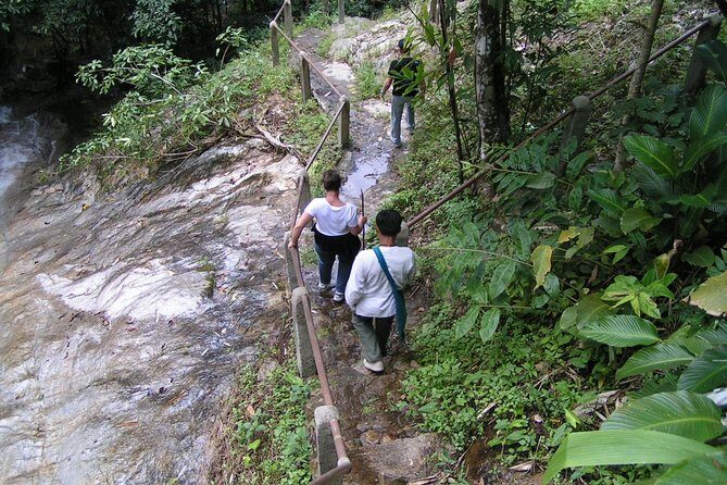 Authentic Mae Kham Pong Village Cultural Experience - Logistics and Practical Details