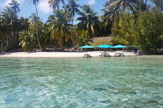 Authentic Polynesian Experience - Final Thoughts: Is This Tour Worth It?
