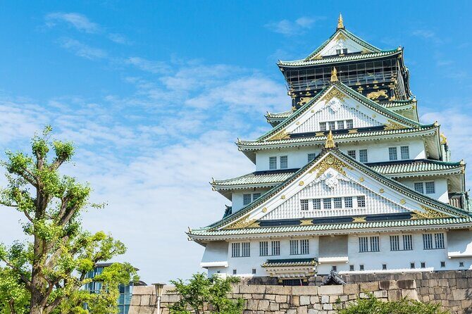 Authentic Private Osaka Tour with a Native Expert - Who Should Book This Tour?