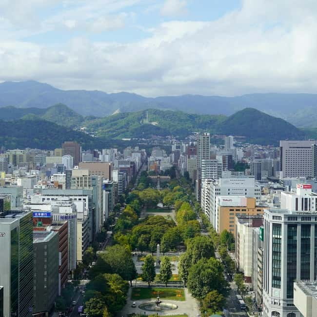 Authentic Sapporo: Nijo Market Seafood Lunch & History Tour - Who Should Consider This Tour